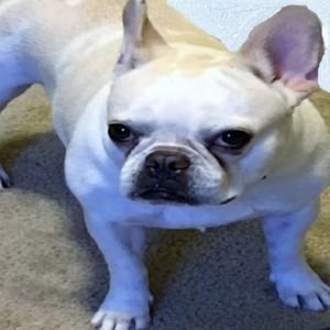 Meet your Posher, Mimi